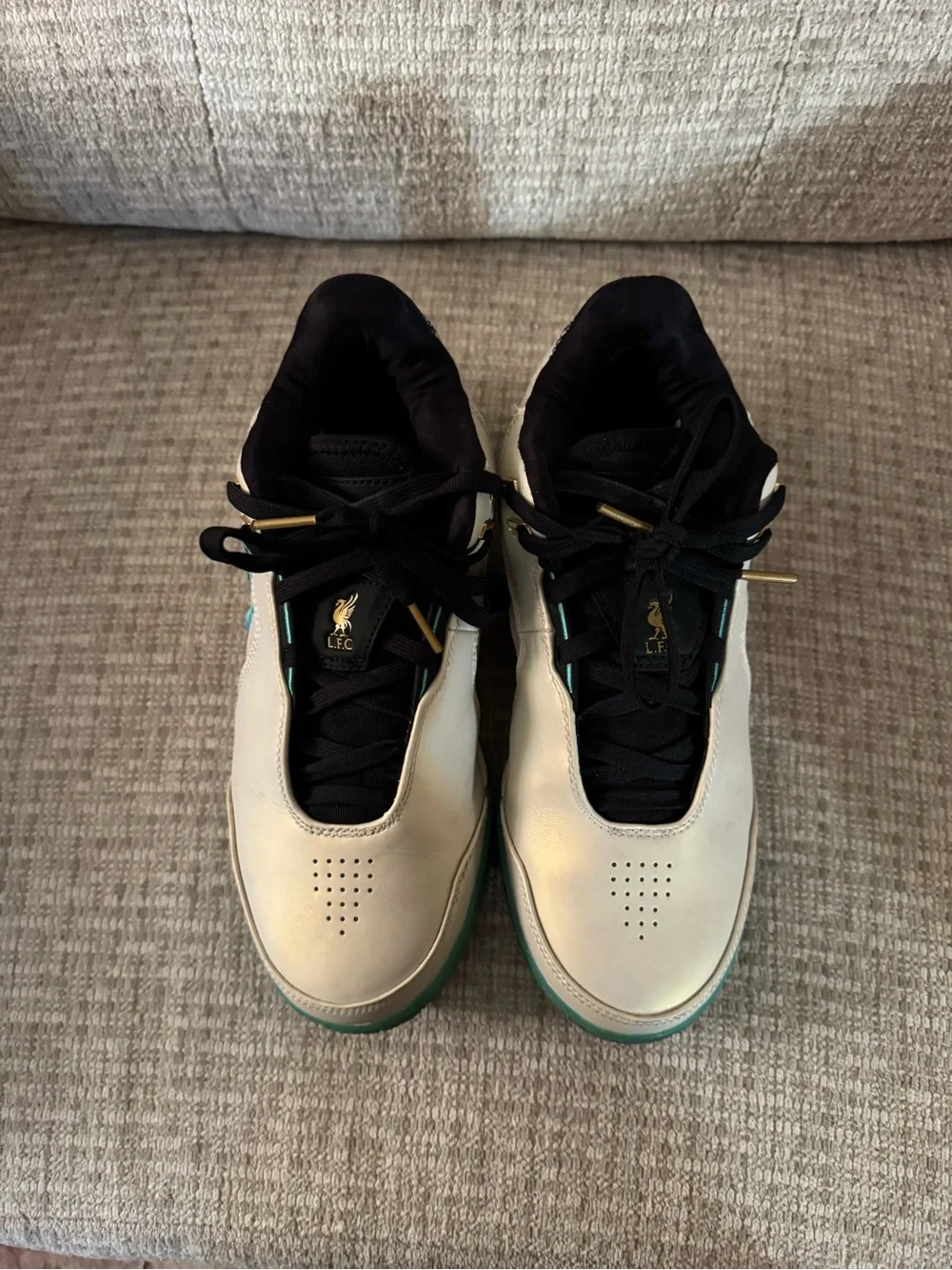 Nike LeBron NXXT, Light Orewood Brown/Washed Teal, Black, Gold Basketball Shoes